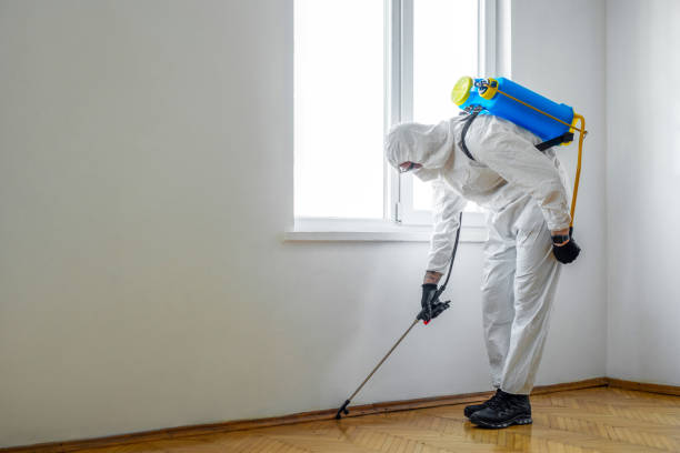 Reliable Sherwood, OH Pest Control Solutions